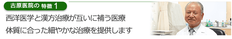 西洋医学と漢方治療が互いに補う医療体質に合った細やかな治療を提供します