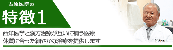 西洋医学と漢方治療が互いに補う医療体質に合った細やかな治療を提供します